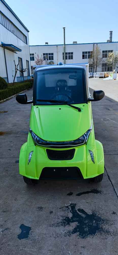 eco car electric factory price