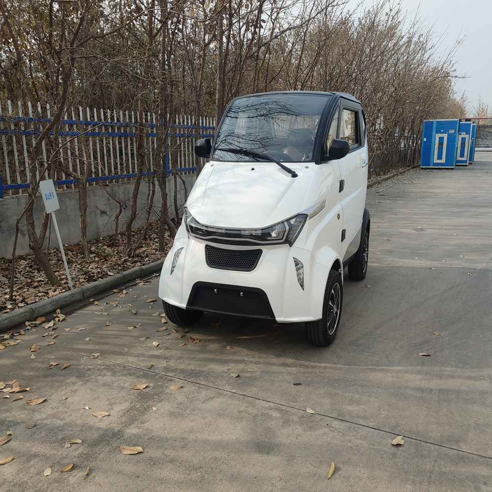 cargo electric van factory price