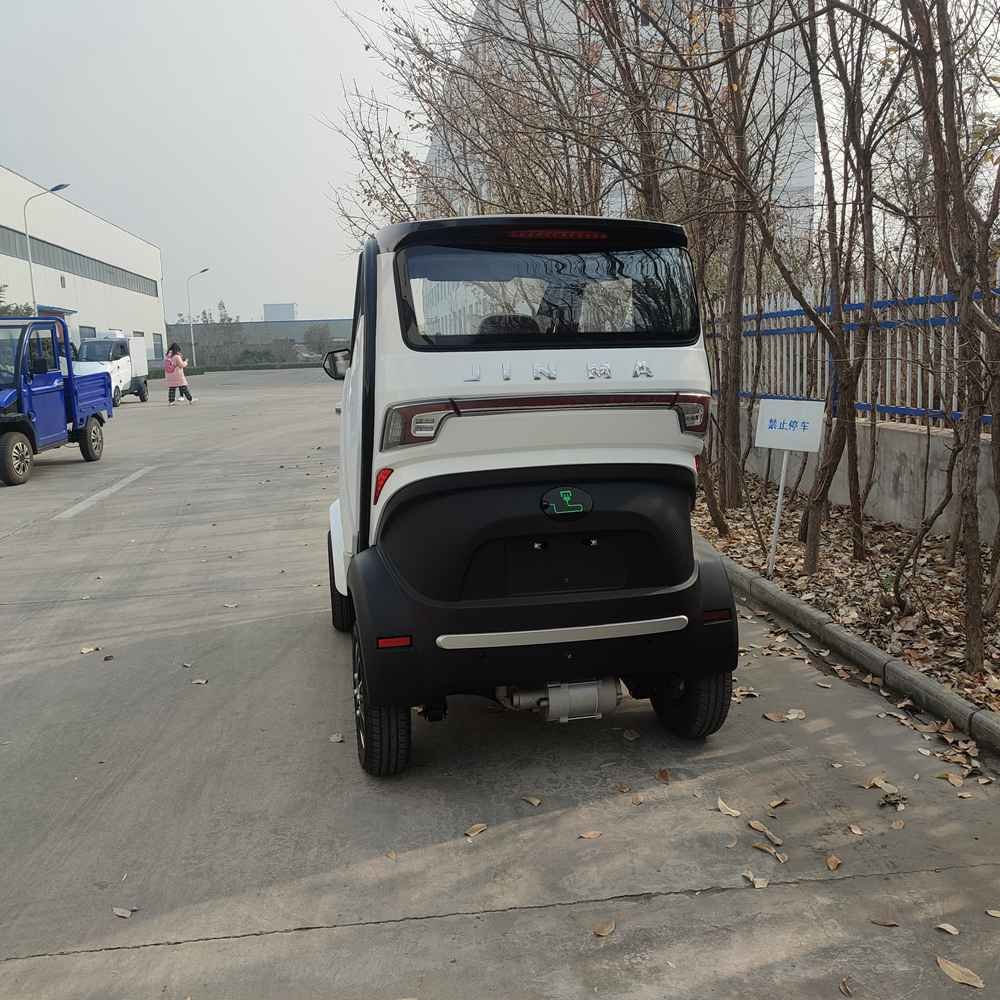 electric vehicles only factory price